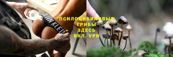метадон Каменка