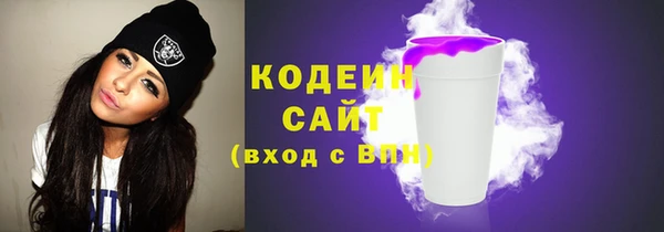 метадон Каменка