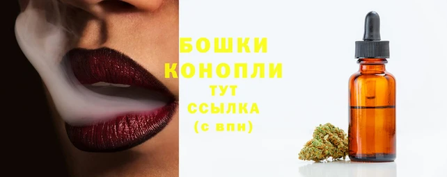 метадон Каменка